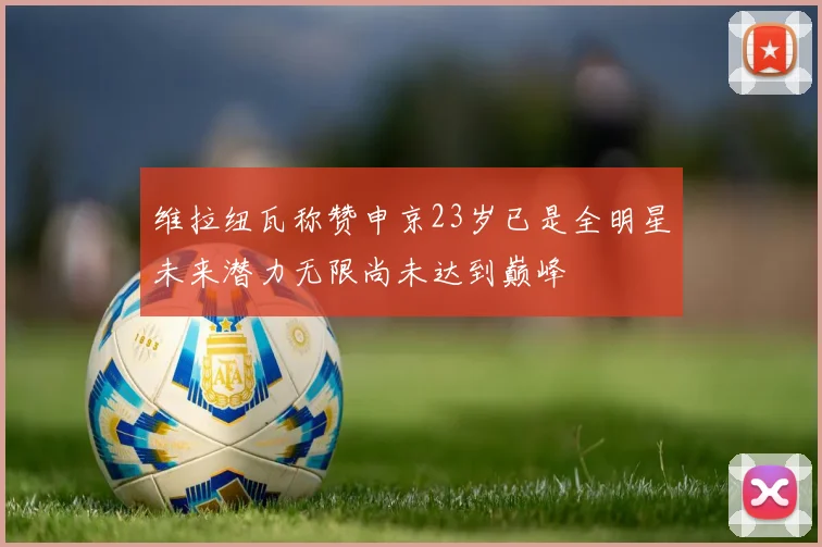 维拉纽瓦称赞申京23岁已是全明星未来潜力无限尚未达到巅峰