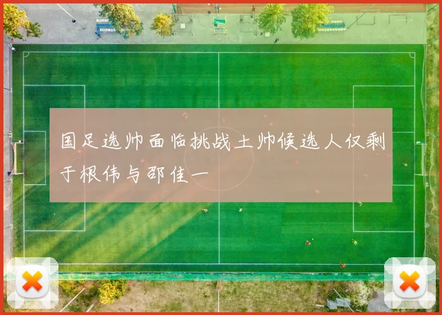 国足选帅面临挑战土帅候选人仅剩于根伟与邵佳一