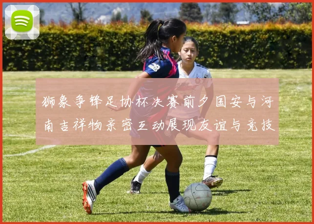 狮象争锋足协杯决赛前夕国安与河南吉祥物亲密互动展现友谊与竞技精神